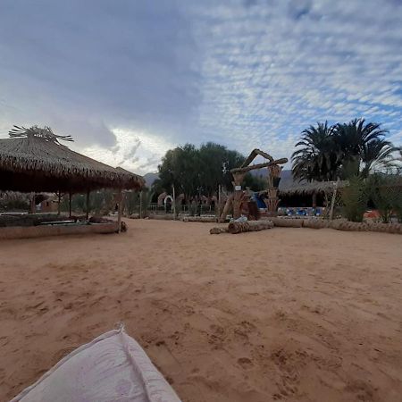Sababa Beach Camp Bed & Breakfast Nuweiba` Екстериор снимка