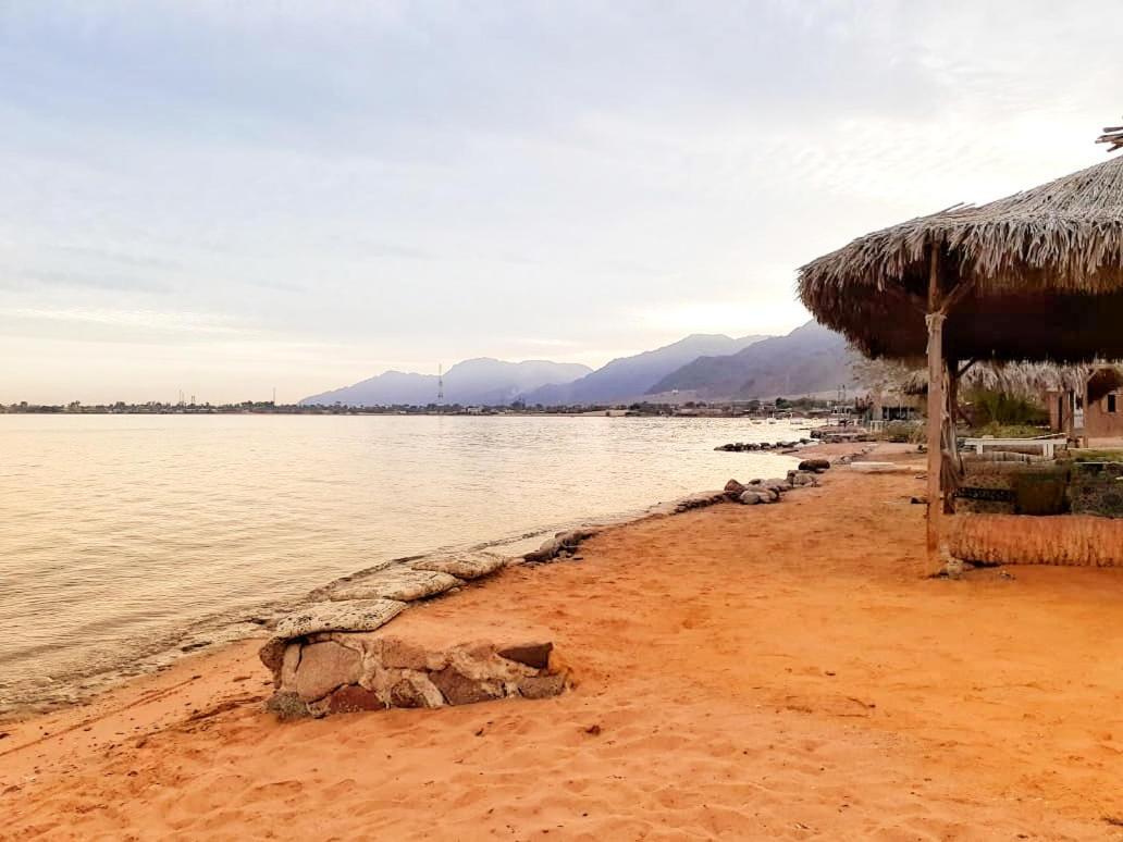 Sababa Beach Camp Bed & Breakfast Nuweiba` Екстериор снимка